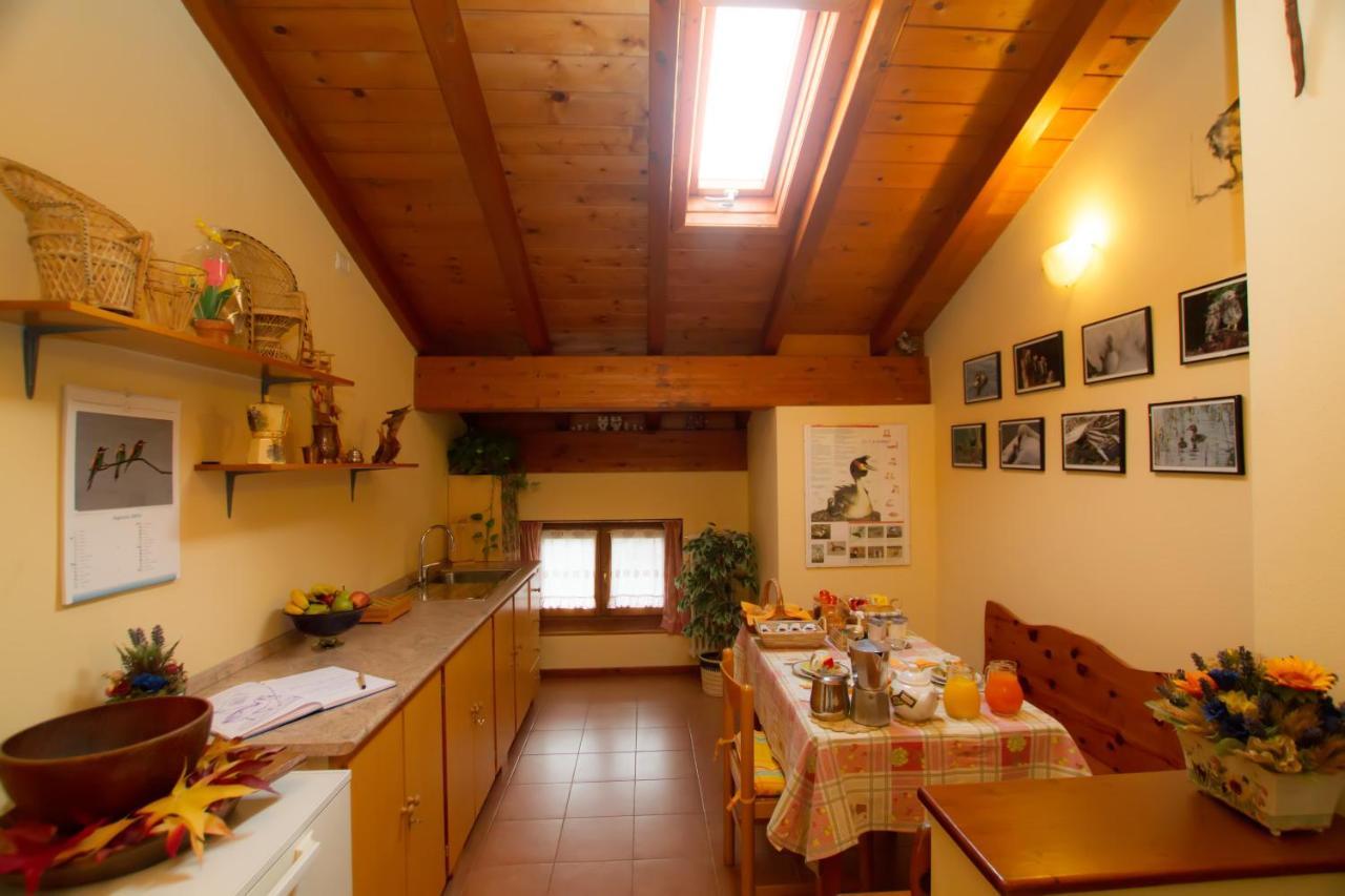 Guest House Il Nido Dello Svasso -Foresteria Lombarda- Sorico Exteriör bild
